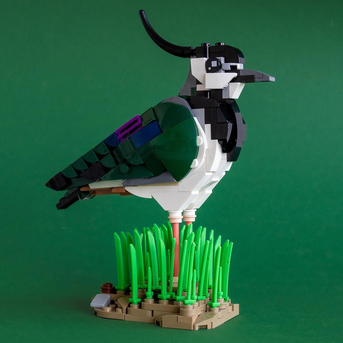 MOC-242376 Northern Lapwing Klemmbausteine-LesDiy-Klemmbausteine